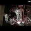 Venetian Chandelier Crystal Red Pastorale - Original Murano Glass