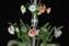 Lampadario Veneziano - Calla Bucolico - Vetro di Murano originale