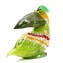 Tucano - murrine e oro - Collezione Lallero - Animali - Vetro di Murano Originale Omg